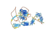 Human CD140a/PDGFRA Monoclonal Antibody