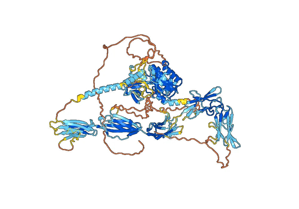 Human CD140b/PDGFRB Monoclonal Antibody