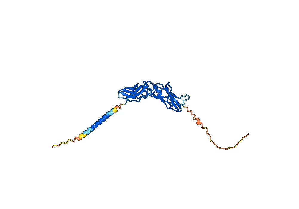 Human CD142/F3/TF Monoclonal Antibody