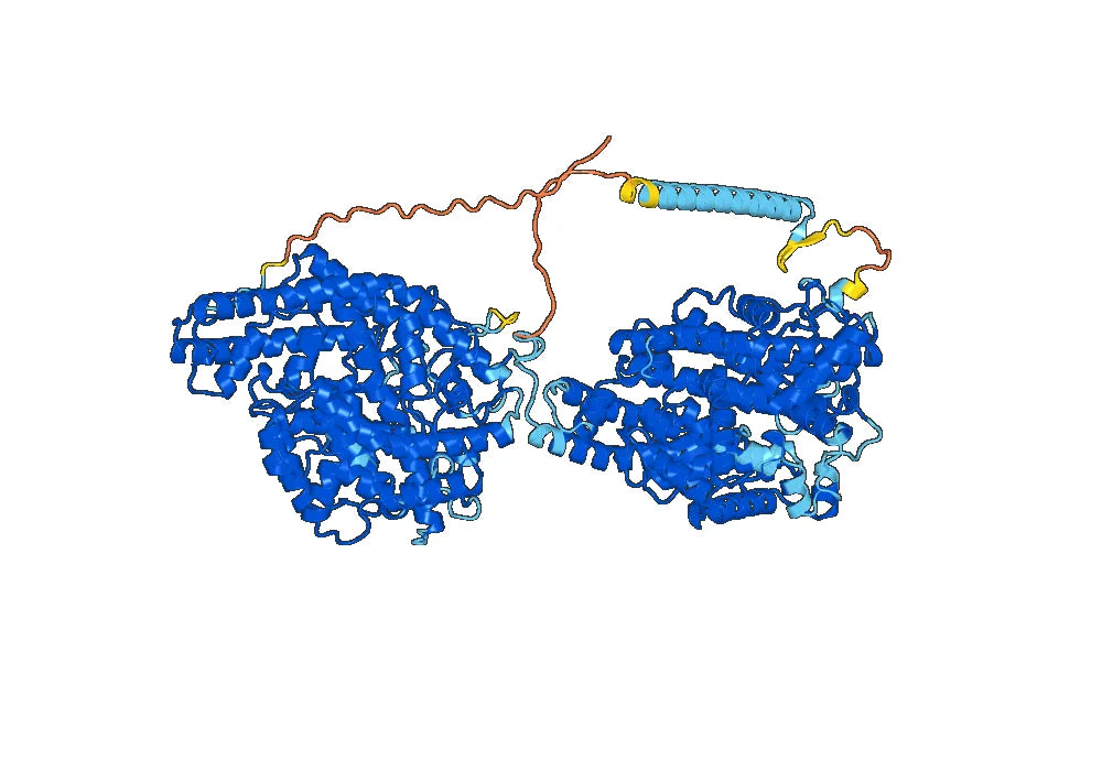 Human CD143/ACE Monoclonal Antibody