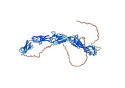 Human CD146/MCAM Monoclonal Antibody