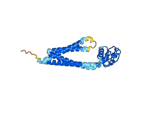 Human CD151 Monoclonal Antibody