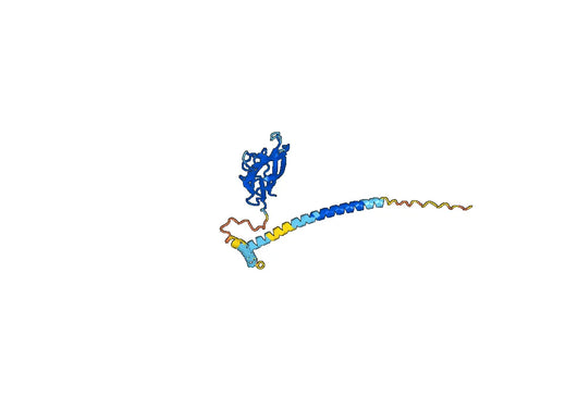 Human CD154/CD40LG/TNFSF5 Monoclonal Antibody