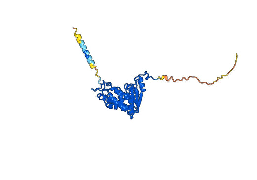 Human CD157/BST1 Monoclonal Antibody