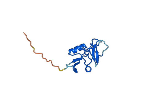 Human CD159c recombinant protein