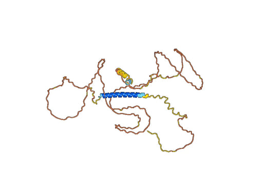 Human CD162/SELPLG Monoclonal Antibody