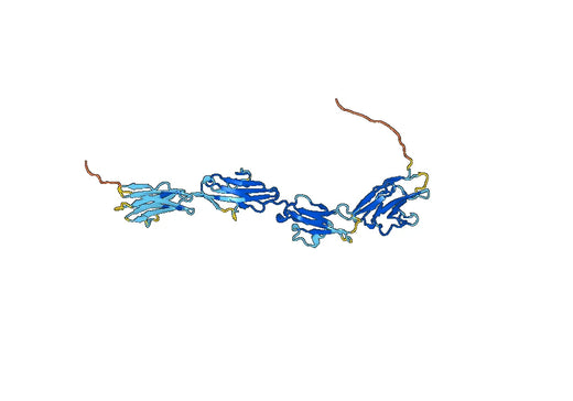 Human CD170 recombinant protein