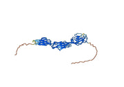 Human CD172b-SIRPB1 recombinant protein
