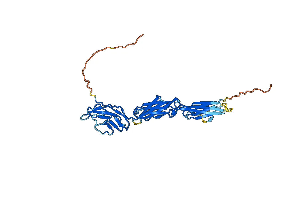 Human CD172g-SIRPG recombinant protein