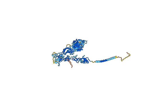 Human CD18/ITGB2 Monoclonal Antibody