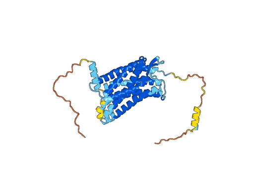 Human CD183/CXCR3 Monoclonal Antibody