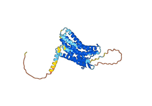 Human CD184/CXCR4 Monoclonal Antibody