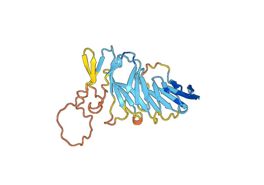 Human CD19 recombinant protein