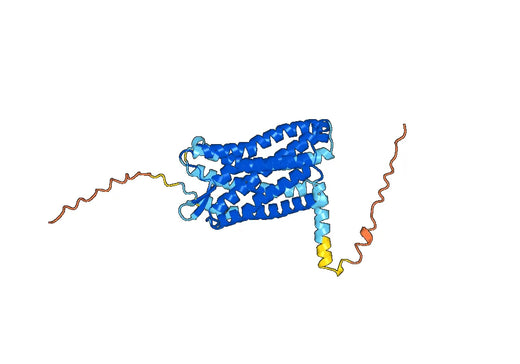 Human CD191/CCR1 Monoclonal Antibody