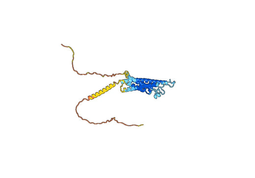 Human CD20/MS4A1 (SAA0006) Monoclonal Antibody