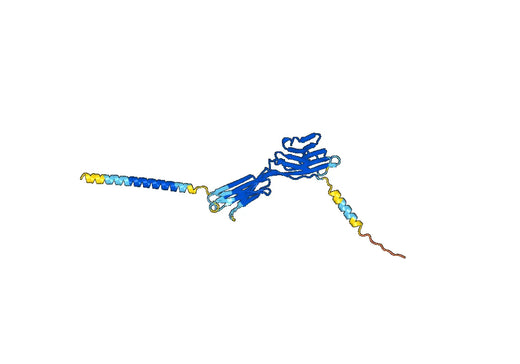 Human CD200 Monoclonal Antibody