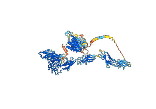 Human CD202b/TEK Monoclonal Antibody