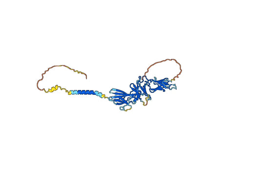 Human CD213a1/IL13RA1 Monoclonal Antibody