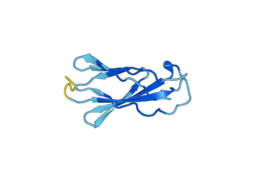 Human CD213a2 / IL13RA2 recombinant protein