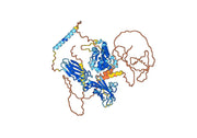 Human CD217/IL17RA Monoclonal Antibody