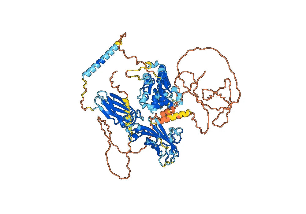 Human CD217/IL17RA Monoclonal Antibody