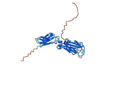 Human CD217 recombinant protein