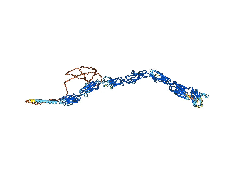 Human CD22 (LL2) Monoclonal Antibody