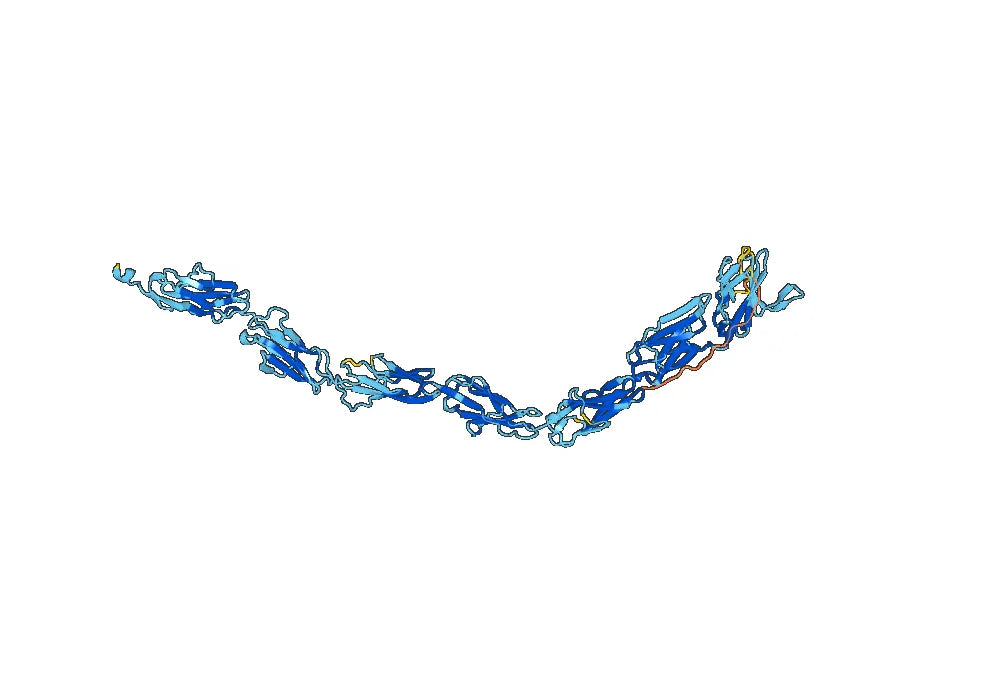 Human CD22 recombinant protein