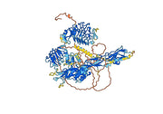 Human CD220/INSR Monoclonal Antibody
