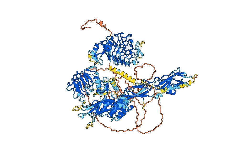 Human CD220/INSR Monoclonal Antibody