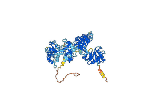 Human CD228-MELTF recombinant protein