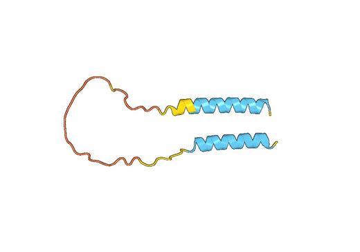 Human CD24 (3B6) Monoclonal Antibody