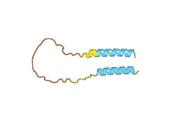 Human CD24 Monoclonal Antibody