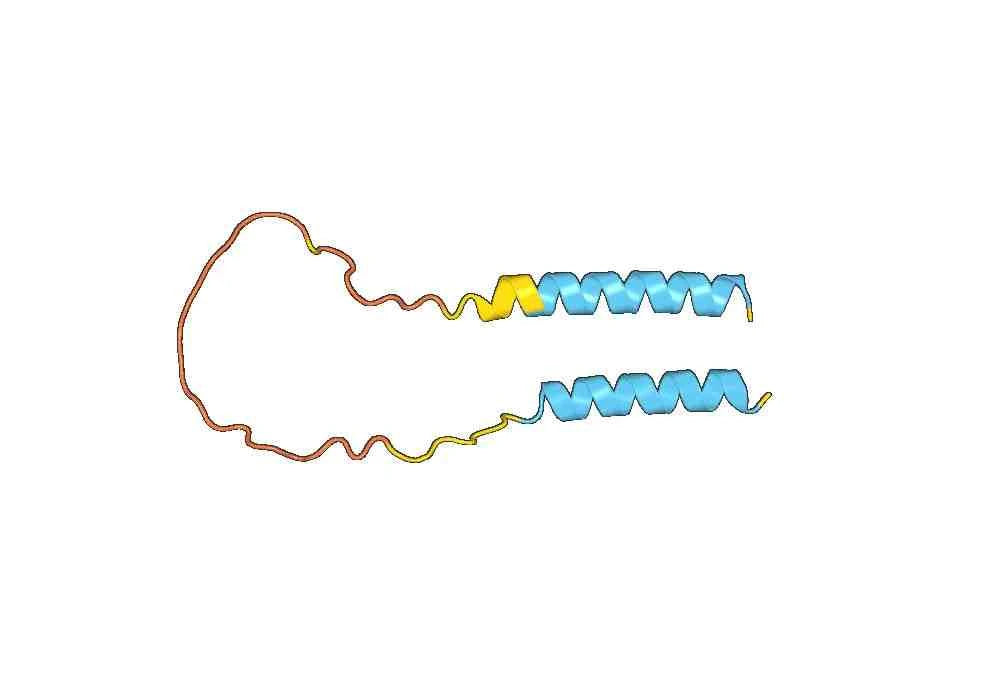 Human CD24 Monoclonal Antibody