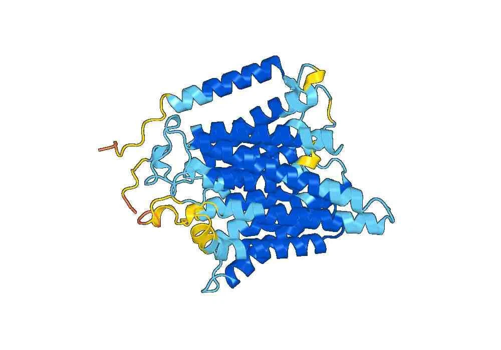 Human CD240D/RHD (SAA0076) Monoclonal Antibody