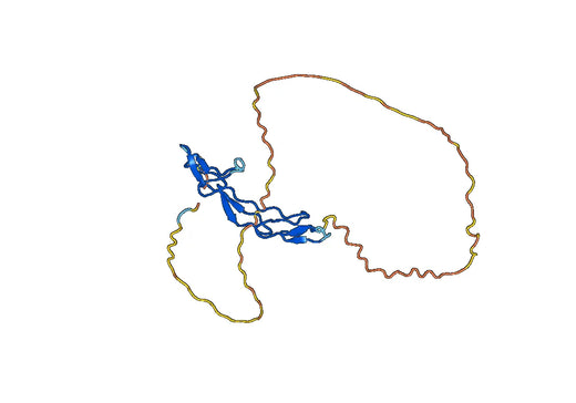 Human CD261-TNFRSF10A recombinant protein