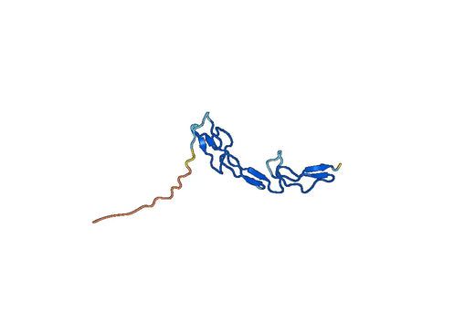Human CD262 recombinant protein
