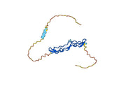 Human CD264-TNFRSF10D recombinant protein