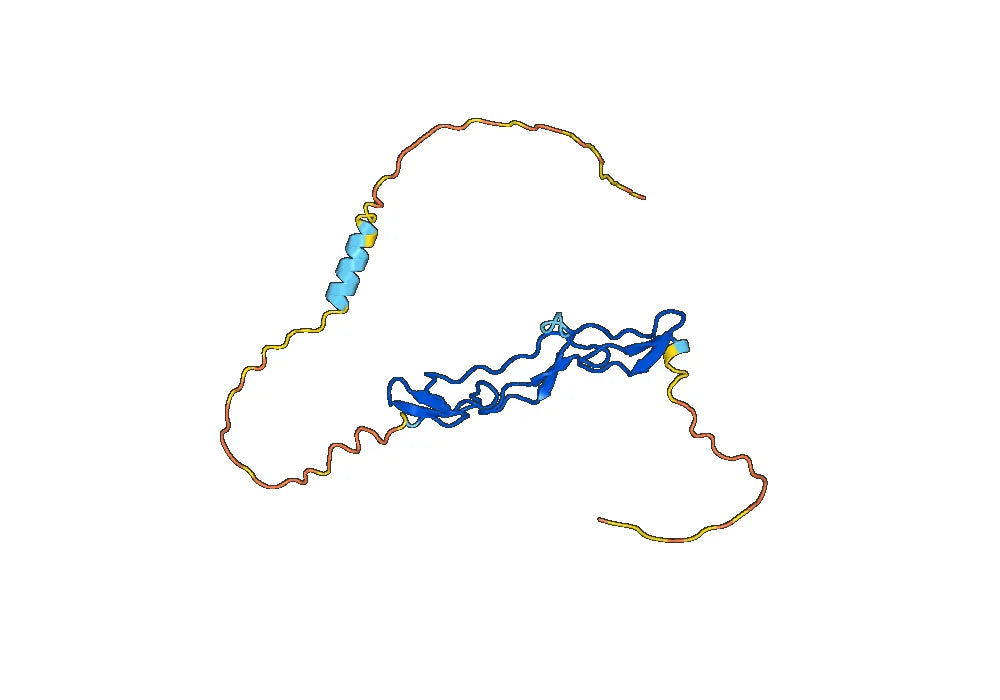 Human CD264-TNFRSF10D recombinant protein