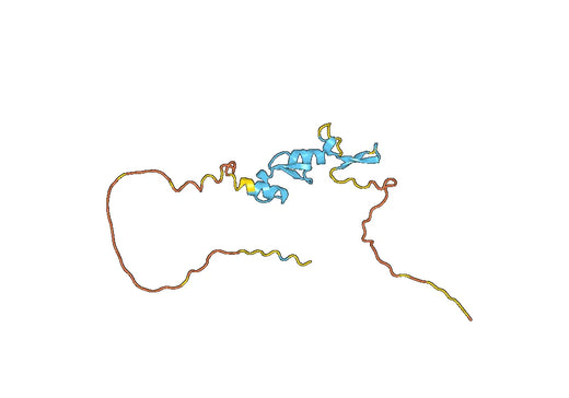 Human CD267-TNFRSF13B recombinant protein