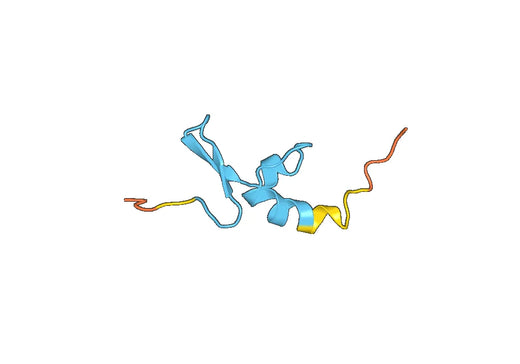 Human CD269 recombinant protein
