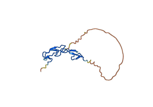 Human CD27 recombinant protein