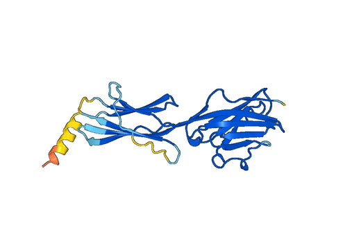 Human CD277 recombinant protein