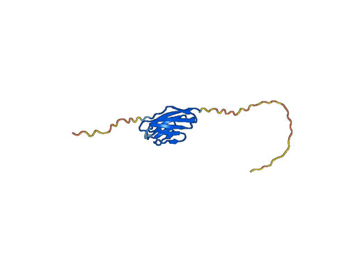 Human CD300d recombinant protein