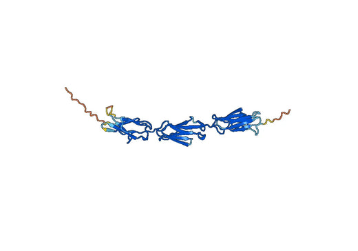 Human CD307a-FCRL1 recombinant protein