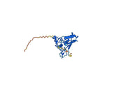 Human CD326-EPCAM recombinant protein