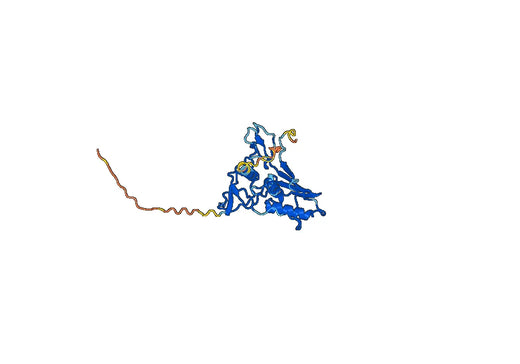 Human CD326 recombinant protein