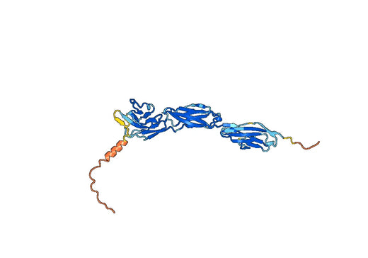 Human CD327 recombinant protein