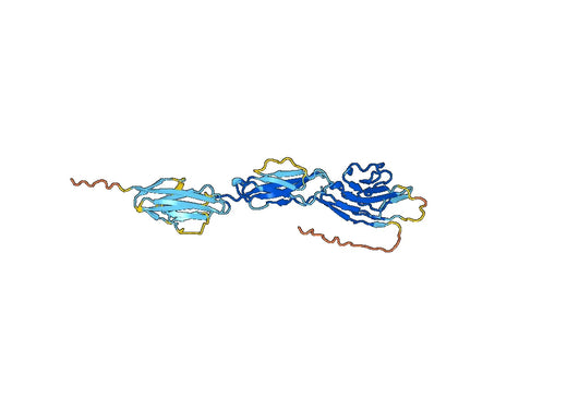 Human CD329 recombinant protein