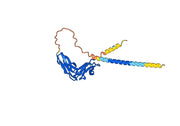 Human CD335/NCR1/NKp46 Monoclonal Antibody